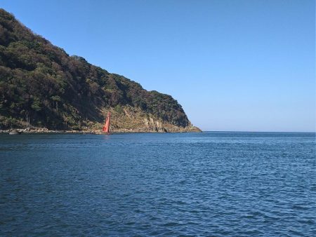 サゴシカッター連発